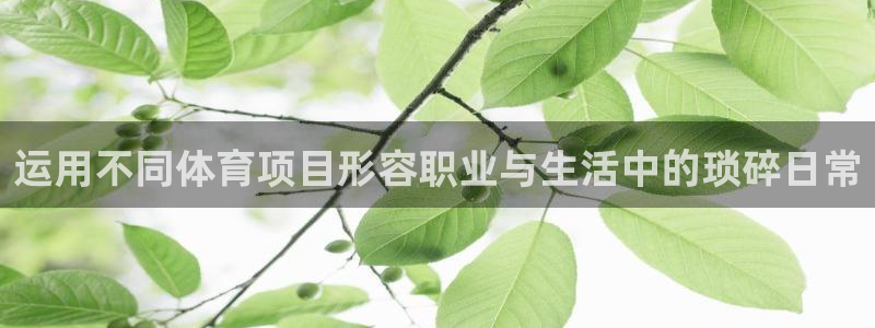 ug环球官网登录入口：运用不同体育项目形容职业与生活中的琐碎日常