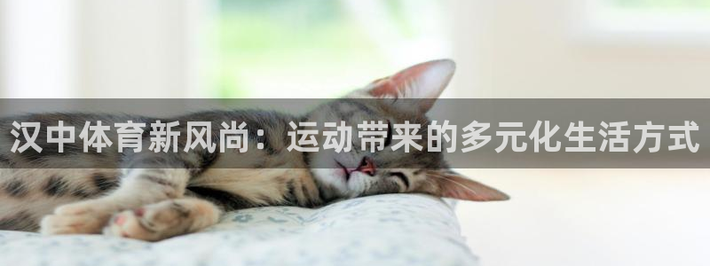 菲律宾ug环球官网：汉中体育新风尚：运动带来的多元化生活方式