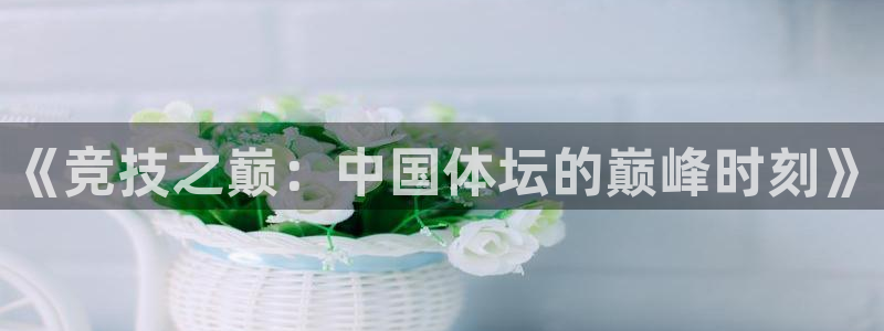 ug环球官网登录入口：《竞技之巅：中国体坛的巅峰时刻》