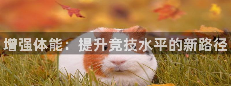 ug环球官网登录入口：增强体能：提升竞技水平的新路径