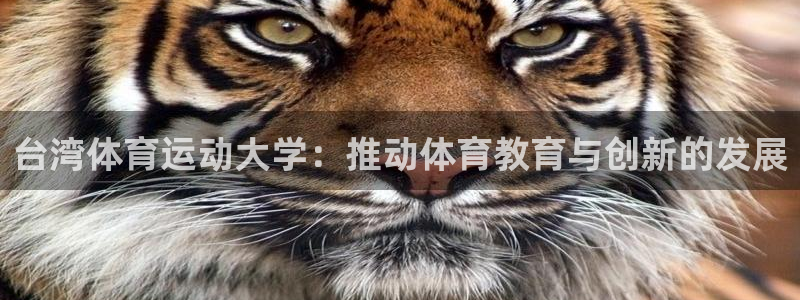 ug环球官网登录入口：台湾体育运动大学：推动体育教育与创新的发展