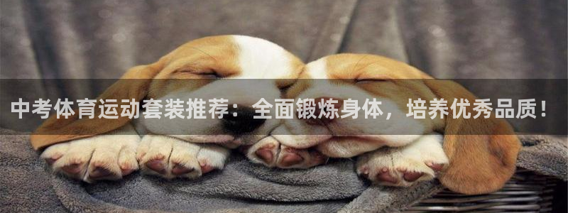 ug环球官网：中考体育运动套装推荐：全面锻炼身体，培养优秀品质！
