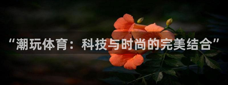 ug环球官网登录入口：“潮玩体育：科技与时尚的完美结合”