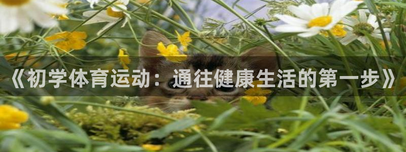 菲律宾ug环球官网：《初学体育运动：通往健康生活的第一步》