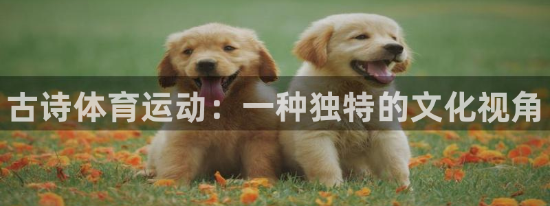 ug环球官网：古诗体育运动：一种独特的文化视角