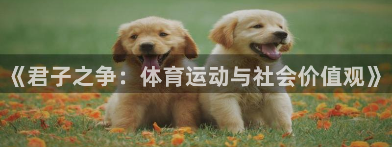 菲律宾ug环球官网：《君子之争：体育运动与社会价值观》